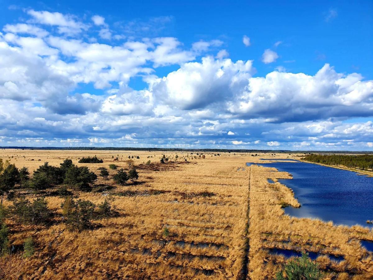 4P Chalet Tolve Met 4 Fietsen Vlakbij Natuurgebieden Drents Friese Wold, Fochteloerveen En Gevangenisdorp Veenhuizen Oosterwolde  Eksteriør bilde